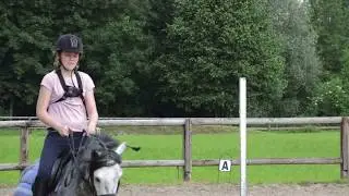 Année 2015 - 2016👌❤️