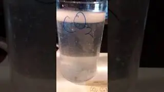 CO2 GaNS rising