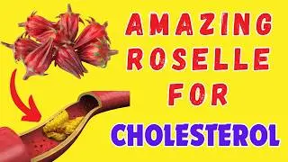 How Roselle Can Help Lower Your Cholesterol Levels