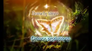 Butterfly Wings Music Track  #progressivehouse #deephouse #chillmusic