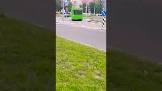 МИНСК (Беларусь) | МАЗ-203.047; гос. АХ 7991-5; марш. 338с. (01.09.2024 г.)