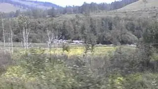 Читинская обл.