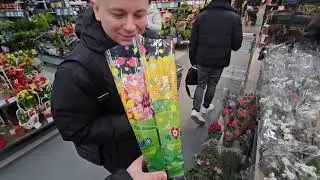 Купили Самвелу Цветы На Балкон ! Обед В Эпицентре