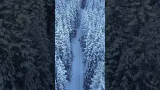 Красота#Зима###