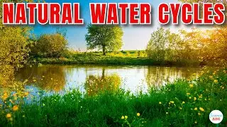 Why Don't Lakes Just Evaporate or Seep Into the Ground?