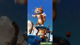 Кот танцует на тракторе