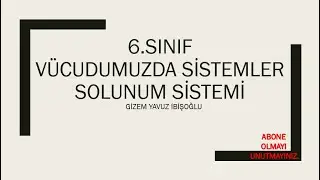 6.SINIF SOLUNUM SİSTEMİ