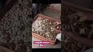 Subhan Allah 💕 💗#shorts #subscribe