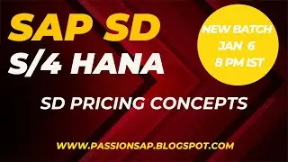 SAP SALES & DISTRIBUTION II SAP SD PRICING - PRICING CONDITION TYPE CONTROLS