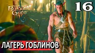 16. Разбитое святилище #baldursgate3 #baldursgate3доблесть