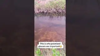 Omg 😱  what is the underwater?