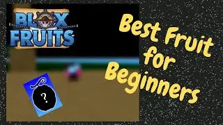 Best Fruit for Beginners in Blox Fruits!!