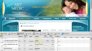 Video bug report: Access-Control-Allow-Origin HTTP header