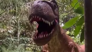 Healing yang menakjubkan! Asia heritage,  ketemu dinosaurus