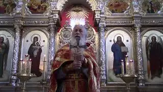 Our faith is a living faith, a true faith, an eternal faith! (sermon on Angel's Day 09/11/2020)
