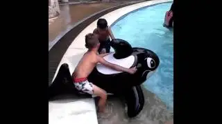 Kiddos & the whale