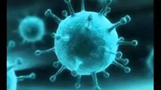 Virus - Project Mudpuppy