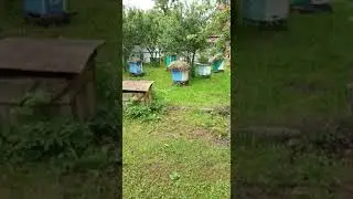 Анатолий Желтков делится опытом, готов поделиться и медом.