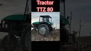 traktor TTZ 80 chizil