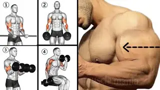 The 7 best bicep exercises @S7S_GYM