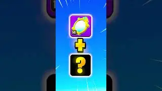Best Magic Mirror Equipment Combinations!!! 