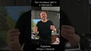 Три основных цвета в портрете 