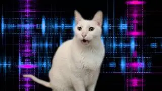 Cats Sing Mission Impossible Theme