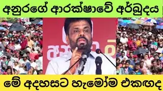 අනුරගේ ආරක්ශාව
