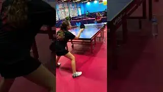Top Spin 🏓