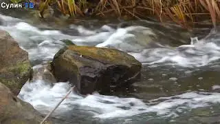 Природа и уют