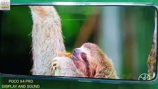Poco X4 Pro 5G | Display Clarity Full HD 8K Video & Sound