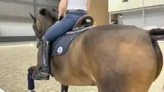 Siggy training Tokyo part 1