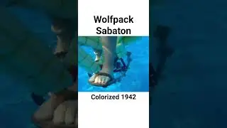 Wolfpack Sabaton meme #memes #metalmemes #sabaton
