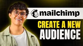How to Create a New Audience in MailChimp