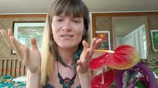 How To Be Impeccable With Your Word? The Four Agreements
