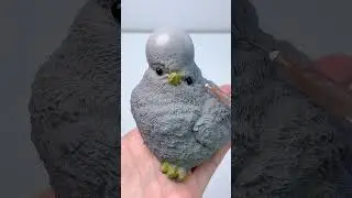 FUFUSQUISHY ASMR🐤🐤Grey Chicken