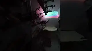 My cat died, so now i got no one in my l;ife, its over 2018- 7. 7 .2024