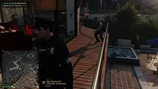 GTA V : LSPDFR - Never without Backup
