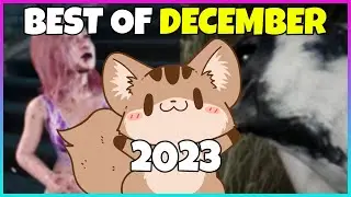 Best of December 2023 Twitch | squiresoup