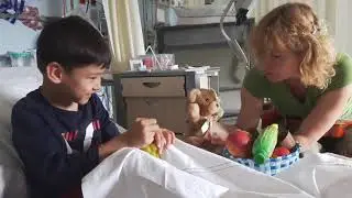 Hospital musician in the Netherlands