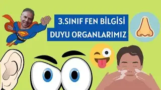 3.Sınıf Duyu Organlarımız & Görevleri | Fen Bilimleri (Beş Duyumuz)