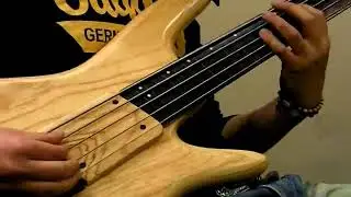THE CHICKEN - FRETLESS BASS SOLO(jacogrow)베이스 연주