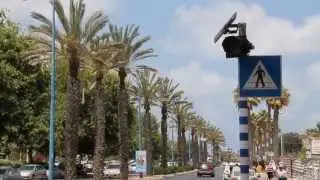 ה-8 דינמי
