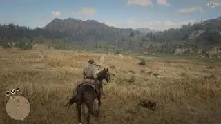 Red Dead Redemption 2 déjà-vu