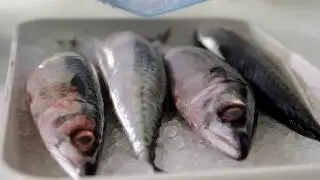 ECOHIGIENA