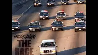 Brook Dawg - The Race (Cover)