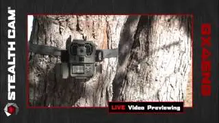 Stealth Cam - GX45NG Trail Camera Overview