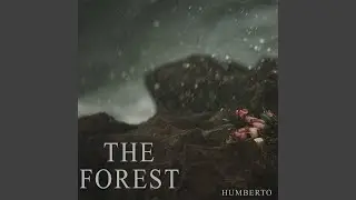 The Forest