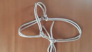 Cabresto regulagem p/ boi, até criança faz!