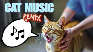 Cat Scratch Song - Música com gatos